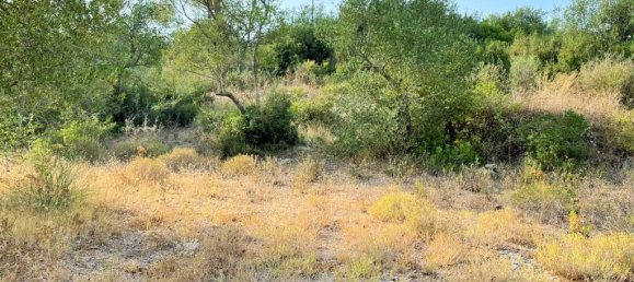 21000m² Hotel in Corfu, Greece No. 3808 4