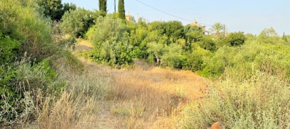 21000m² Hotel in Corfu, Greece No. 3808 5