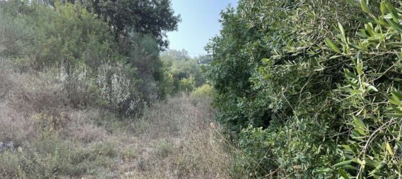 21000m² Hotel in Corfu, Greece No. 3808 24