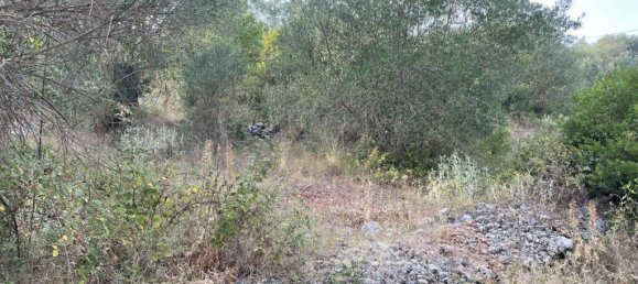 21000m² Hotel in Corfu, Greece No. 3808 20