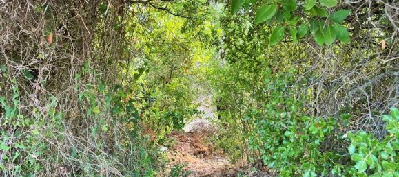 21000m² Hotel in Corfu, Greece No. 3808 13