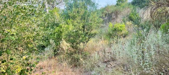 21000m² Hotel in Corfu, Greece No. 3808 17