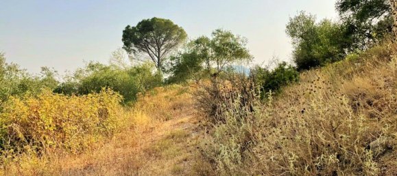 21000m² Hotel in Corfu, Greece No. 3808 3