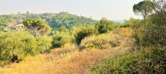 21000m² Hotel in Corfu, Greece No. 3808 8