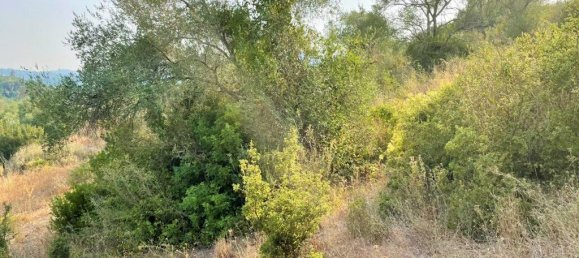 21000m² Hotel in Corfu, Greece No. 3808 11