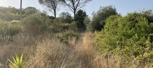 21000m² Hotel in Corfu, Greece No. 3808 23