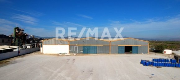 6 bedrooms Hotel in Magnesia, Greece No. 8951 11