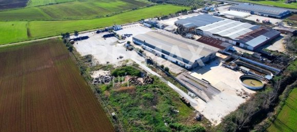 6 bedrooms Hotel in Magnesia, Greece No. 8951 12