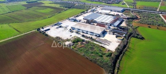 6 bedrooms Hotel in Magnesia, Greece No. 8951 6