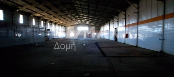 6 bedrooms Hotel in Magnesia, Greece No. 8951 15