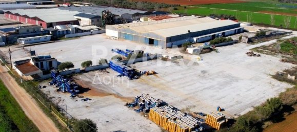 6 bedrooms Hotel in Magnesia, Greece No. 8951 25