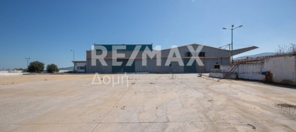 10 chambres terrain à vendre à Magnesia, Thessaly, Thessaly and Central Greece, Greece № 8951 22