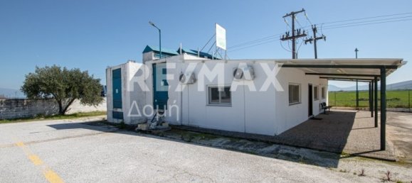 10 chambres terrain à vendre à Magnesia, Thessaly, Thessaly and Central Greece, Greece № 8951 19