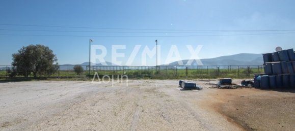 10 chambres terrain à vendre à Magnesia, Thessaly, Thessaly and Central Greece, Greece № 8951 24