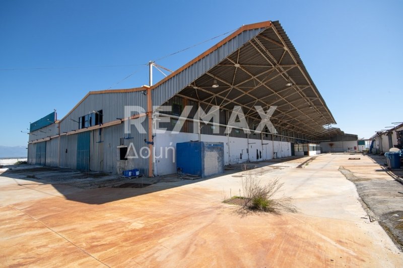 10 chambres terrain à vendre à Magnesia, Thessaly, Thessaly and Central Greece, Greece № 8951