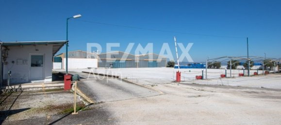 10 chambres terrain à vendre à Magnesia, Thessaly, Thessaly and Central Greece, Greece № 8951 15