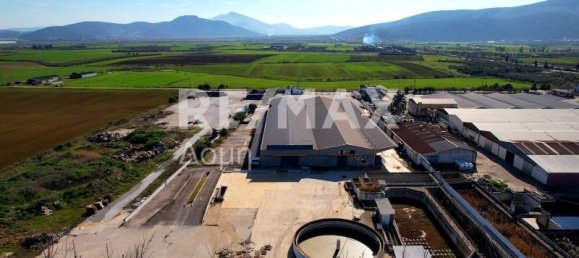 6 bedrooms Hotel in Magnesia, Greece No. 8951 4