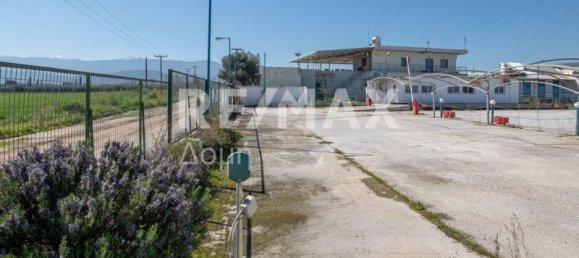 10 chambres terrain à vendre à Magnesia, Thessaly, Thessaly and Central Greece, Greece № 8951 18