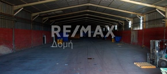 6 bedrooms Hotel in Magnesia, Greece No. 8951 14