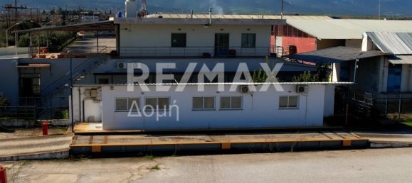 6 bedrooms Hotel in Magnesia, Greece No. 8951 3