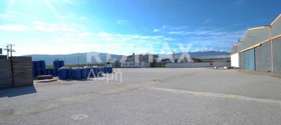 6 bedrooms Hotel in Magnesia, Greece No. 8951 24