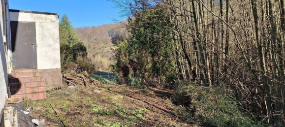 5-Zimmer Haus in Rhein-Neckar-Kreis, Germany, Nr. 334744 18