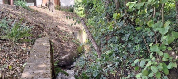 5-Zimmer Haus in Rhein-Neckar-Kreis, Germany, Nr. 334744 4