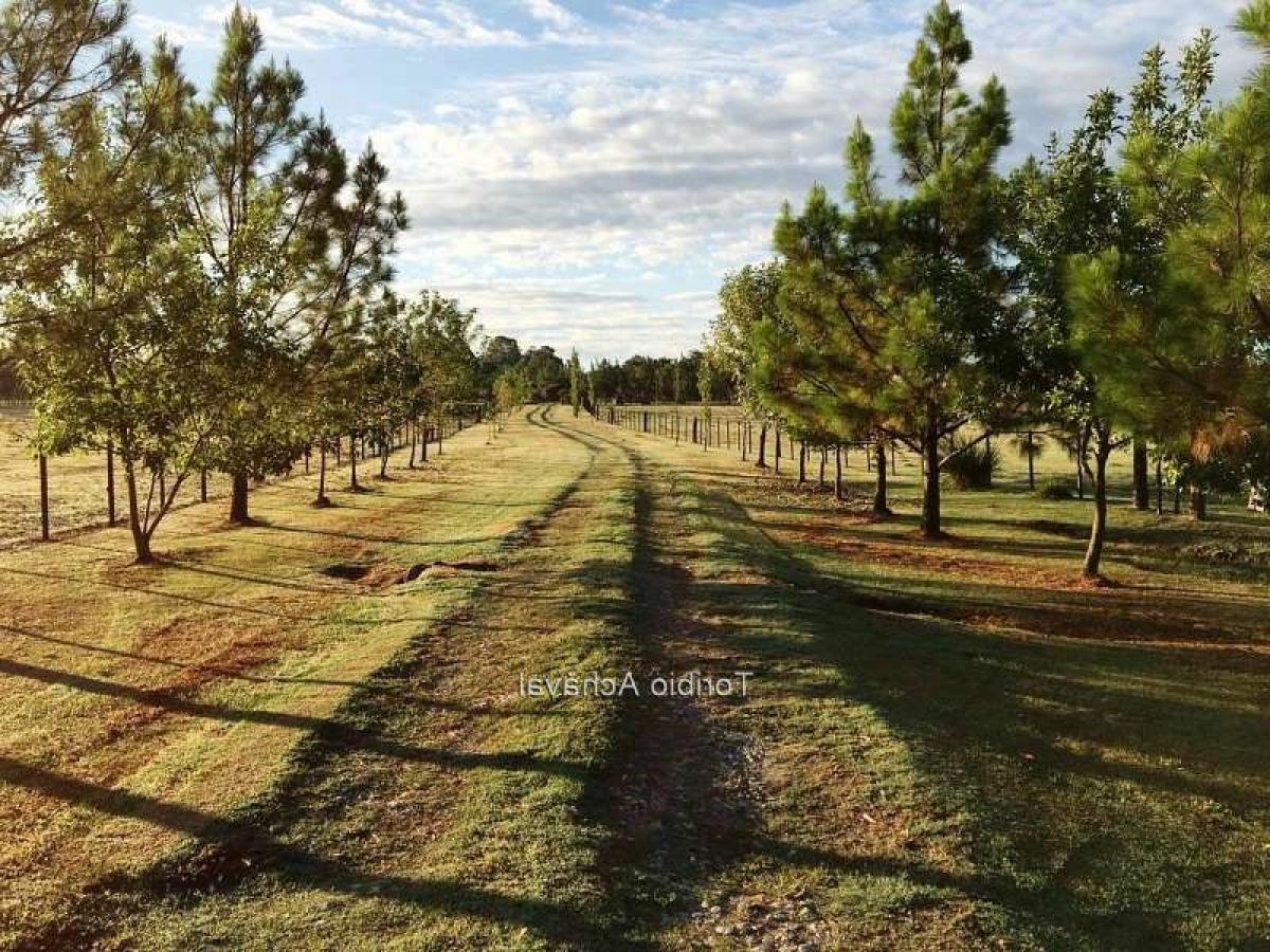 3 bedrooms House in Colonia, Uruguay No. 8110