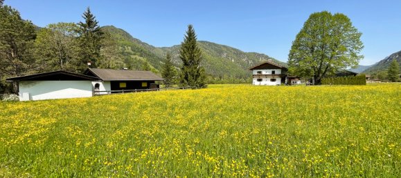  Land in St. Ulrich am Pillersee, Austria No. 101499 3