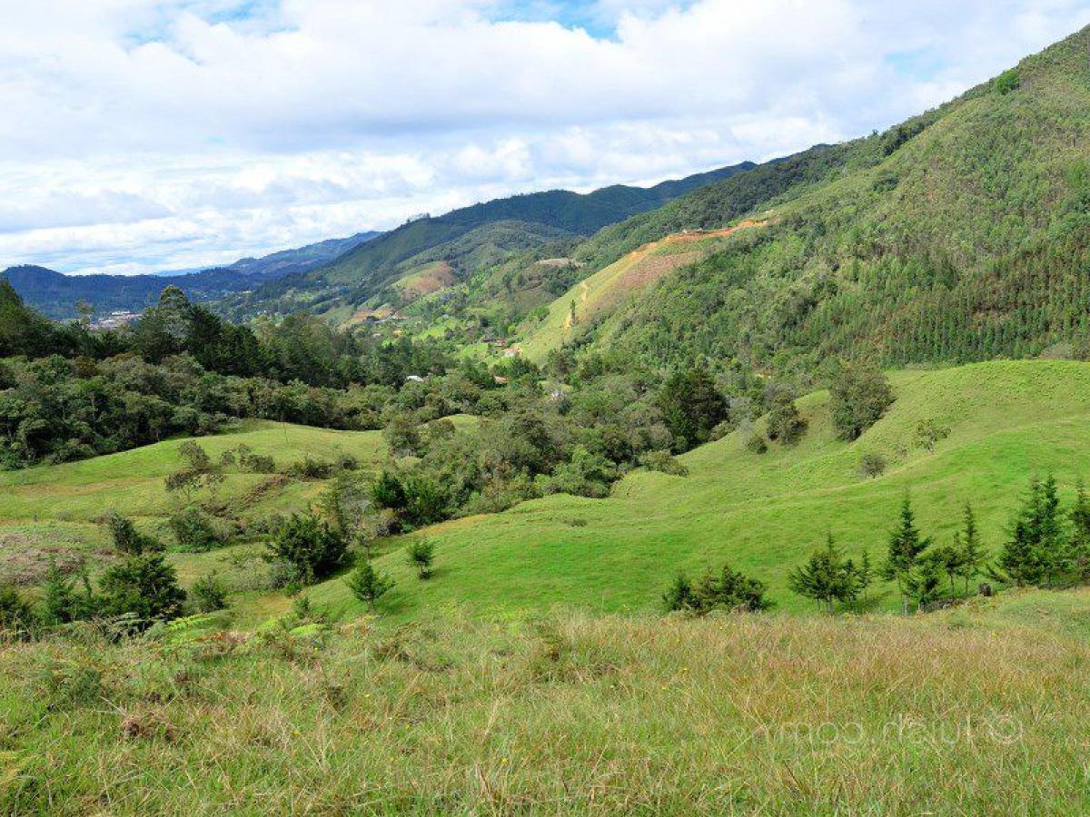 Terrain à Antioquia, Colombia No. 747