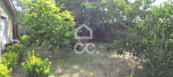 4 Schlafzimmer Villa in Chaves, Portugal, Nr. 199309 3