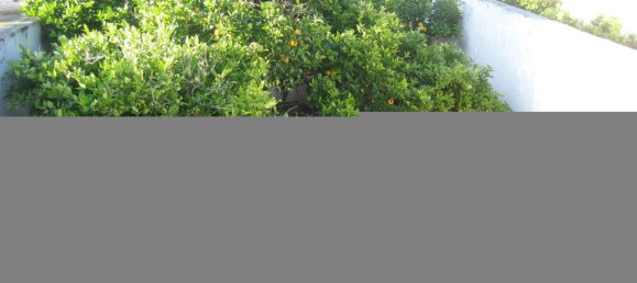 5 chambres Maison à Zebbug, Malta No. 6223 33