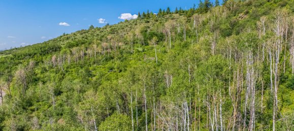 Hotel in Edwards, USA 1.68m², Nr. 560266 7