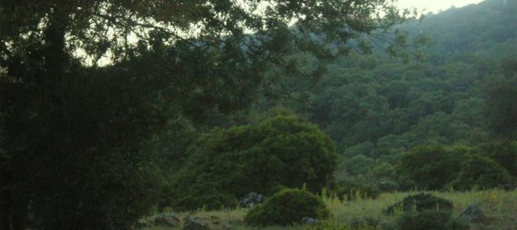  Land in Cortes de la Frontera, Spain No. 83283 11