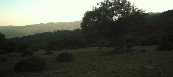  Land in Cortes de la Frontera, Spain No. 83283 9