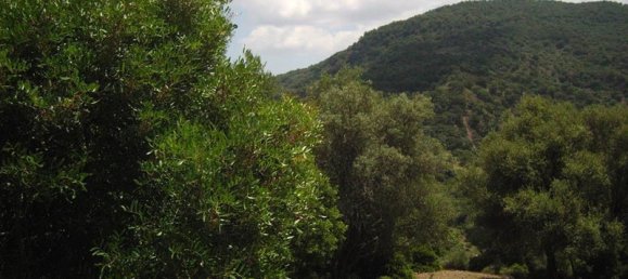  Land in Cortes de la Frontera, Spain No. 83283 3