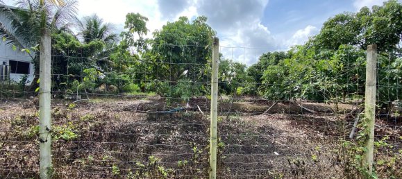 4 bedrooms Cafe / restaurant in Chiang Mai, Thailand No. 10802 9