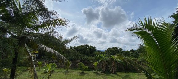 4 bedrooms Cafe / restaurant in Chiang Mai, Thailand No. 10802 10