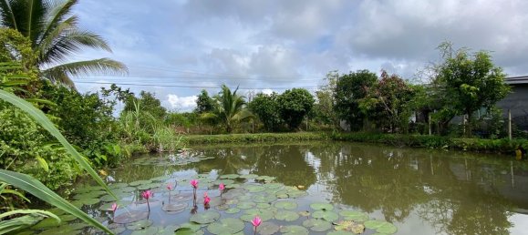 4 bedrooms Cafe / restaurant in Chiang Mai, Thailand No. 10802 5