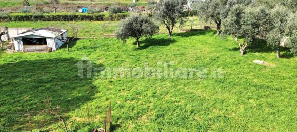 4 غرف نوم فيلا في Rome, Italy رقم 347925 31