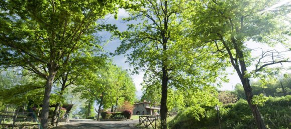 22 bedrooms House in Reggello, Italy No. 188347 14