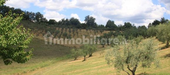 22 bedrooms House in Reggello, Italy No. 188347 10