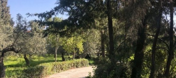 Villa T3 em Central Greece, Greece N.º 8277 3