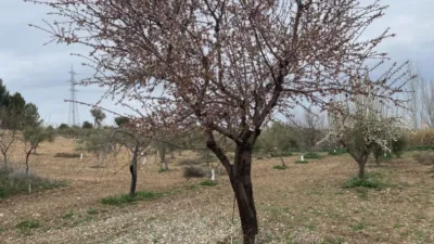  Land in Toledo, Spain No. 248320