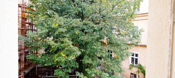 3 rooms Apartment in Baden, Austria No. 255408 35