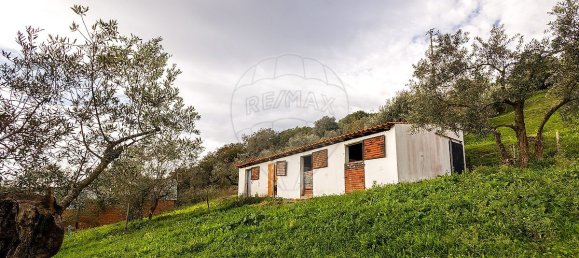 4 bedrooms House in Juncal, Portugal No. 21507 22