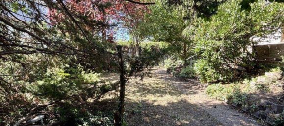 4 rooms House in Gumpoldskirchen, Austria No. 236873 28