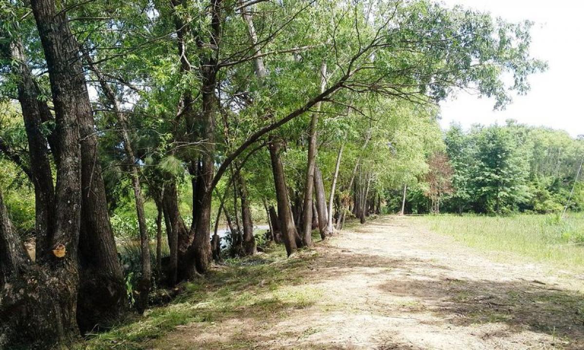  Land in Tigre, Argentina No. 117427