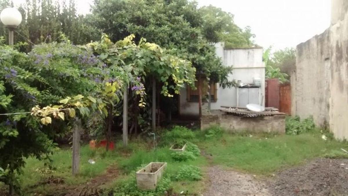 Studio in Campo Creado, Argentina, Nr. 91504