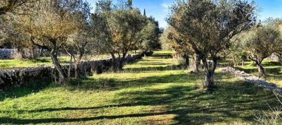 Terrain à Correns, France 1412m² No. 193757 4
